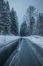 Snowy road par Lars Stoof Aperçu