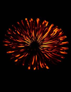« Ember Allium IX »