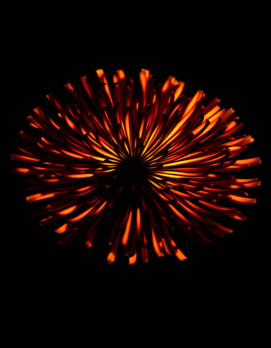 „Ember Allium IX“