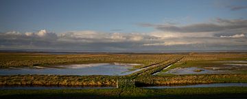 Panorama of salt marshes Wadden coast of Groningen