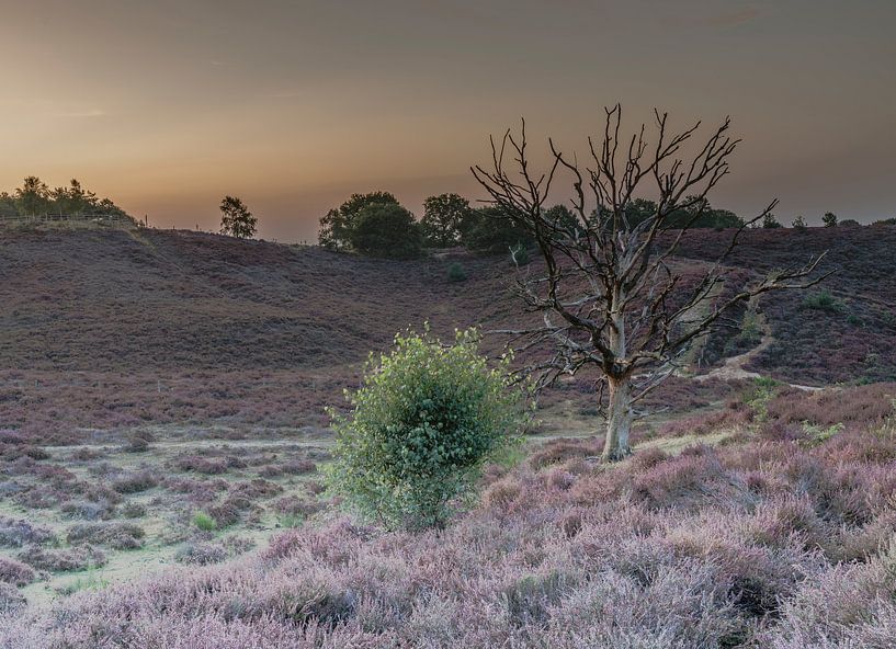 Posbank. par iljan wakker