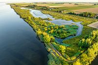 Tiendgorzen nature reserve Hoeksche Waard