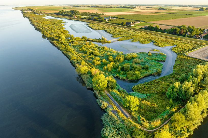 Naturschutzgebiet Tiendgorzen Hoeksche Waard von Vivo Fotografie