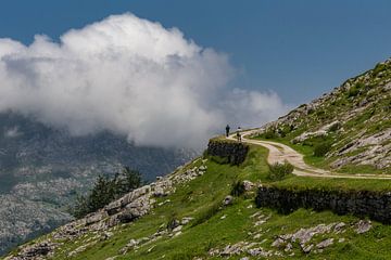 Bergpass in den Picos de Europa von Easycopters