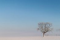 verstild winterlandschap van Cees van Ginkel thumbnail