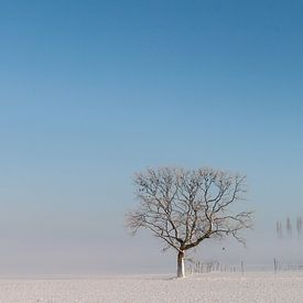 verstild winterlandschap van Cees van Ginkel