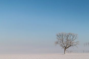 verstild winterlandschap