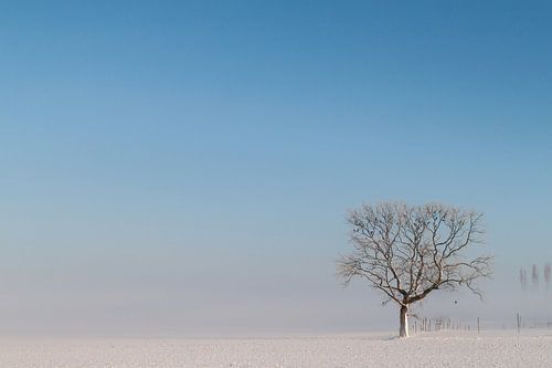 verstild winterlandschap
