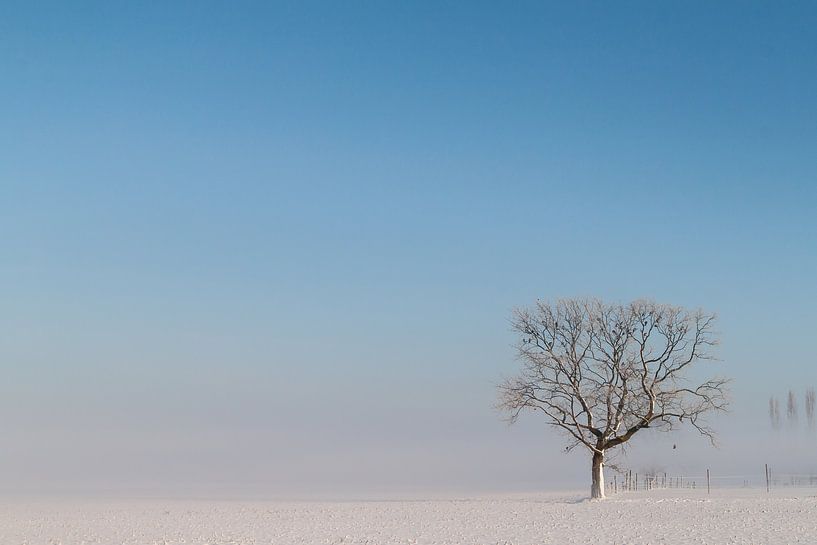 verstild winterlandschap von Cees van Ginkel