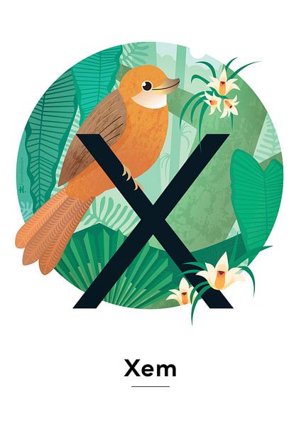 Naamposter Xem van Hannah Barrow