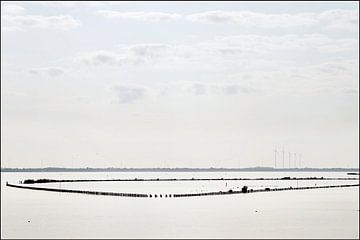 stilte op het Amstelmeer van Oog in het zeil