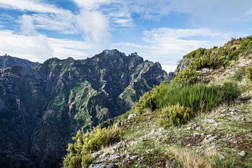 Paysage de montagne au Pico Ruivo | Madère | Photographie de voyage sur Daan Duvillier | Dsquared Photography