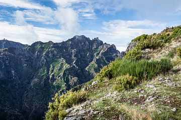 Berglandschap bij Pico Ruivo | Madeira | Reisfotografie van Daan Duvillier