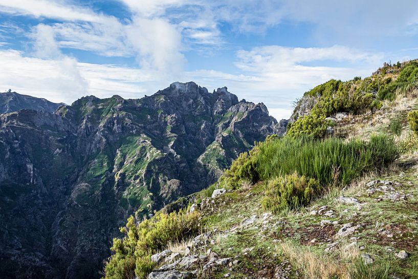 Berglandschap bij Pico Ruivo | Madeira | Reisfotografie van Daan Duvillier | Dsquared Photography