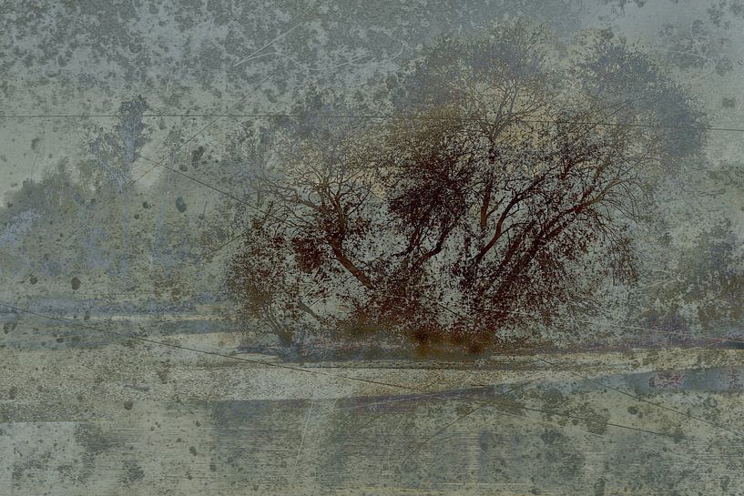 Atmosphere impression trees Boswachterij Dorst by Cees van Gastel