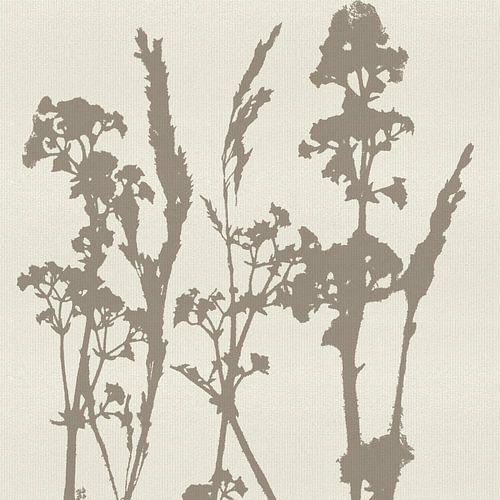 Botanique neutre en taupe et blanc