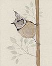 Crested Tit by Bianca Wisseloo thumbnail