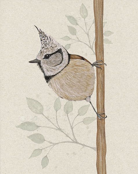 Crested Tit by Bianca Wisseloo