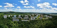 Stadt trifft Natur – Panorama mit Wald und Himmel