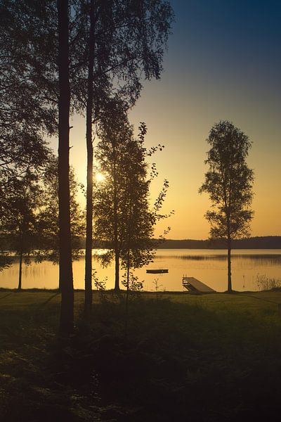 Sunlight floods the forest by the lake with huts, peaceful natural idyll by Martin Köbsch