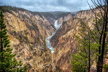 Parc national de Yellowstone sur Marcel Wagenaar