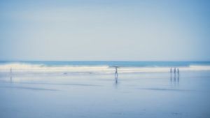 At the beach (4)