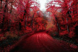 Der rote Wald