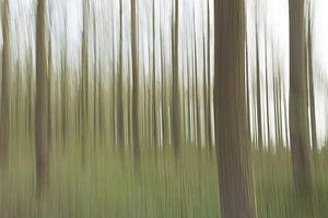 Moving trees van Jaco Verheul