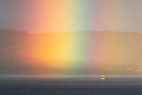 Alle Farben des Regenbogens