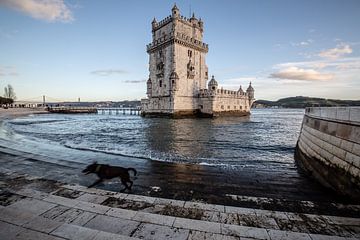 Lisbon by Eric van Nieuwland