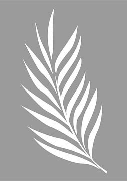 Minimalist Nature & Abstract Illustration Collection