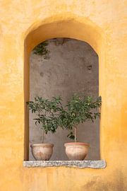 Pots en terre cuite dans un mur ocre, simplicité méditerranéenne