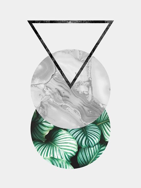 Floral and geometric 10 by Vitor Costa