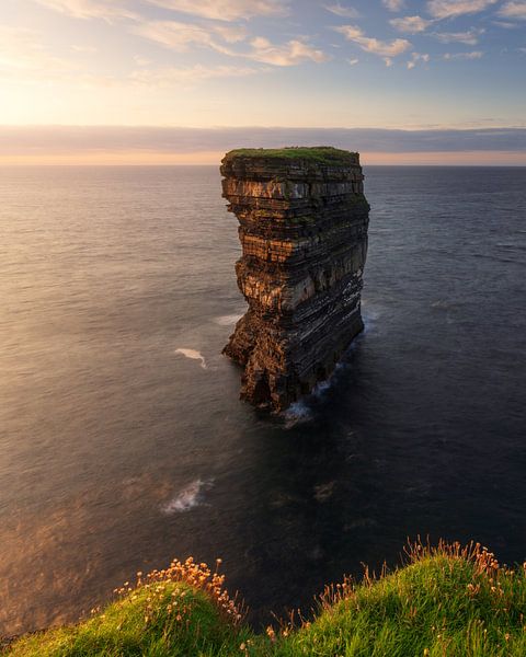 Down Patrick Head II von Markus Stauffer