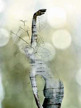 Seelen der Bäume - Tanzende Birke