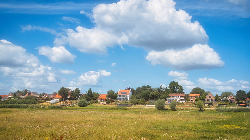 Elst under a blue sky