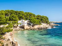Cala Gat bathing bay in Mallorca in Cala Rajada