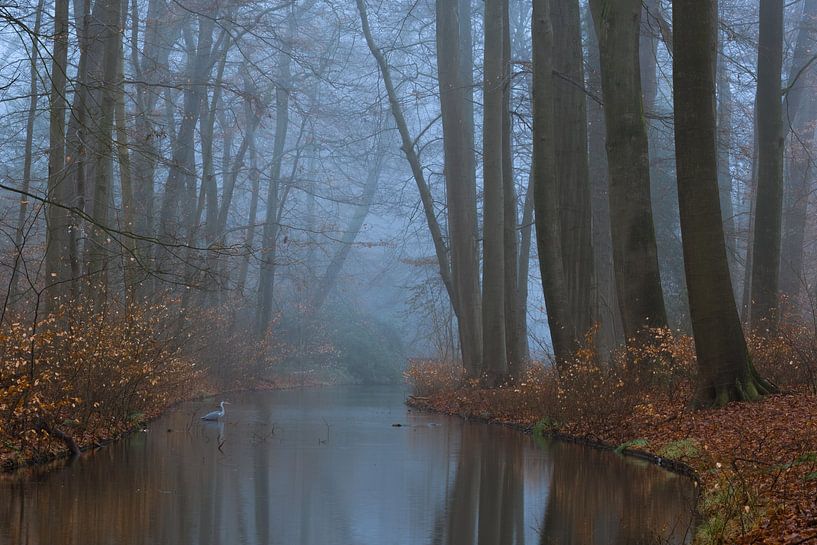 Reflections by Moetwil en van Dijk - Fotografie