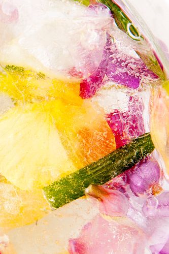 Planten en bloemen bevroren in ijs