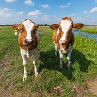 Twee vriendinnen