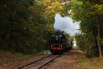 Veluwe Steam Train in autumn atmosphere by Ilona Lagerweij