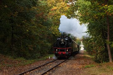 Veluwse Stoomtrein in herfstsfeer van Ilona Lagerweij