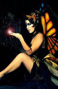 Butterfly Queen van Kim van Luijtelaar