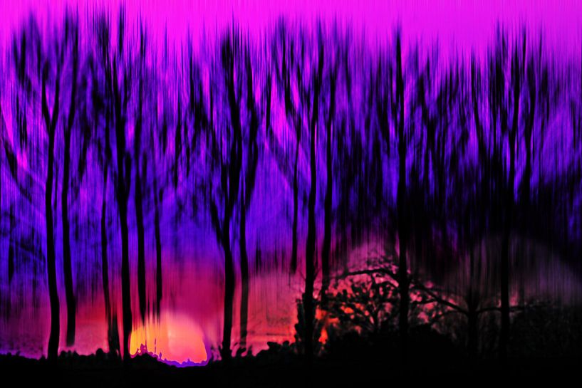 Firewood by Bianka Hesse