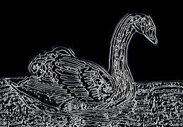 Bewerkte eigen tekening van een zwaan. van Jose Lok