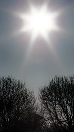 Erstes Wochenende im Frühling