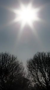 Erstes Wochenende im Frühling