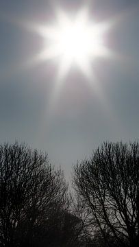 Premier week-end du printemps