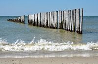 Beach with surf and poles in the sea