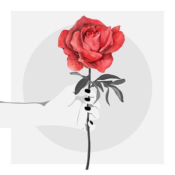 The Red Rose van Marja van den Hurk